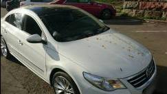 Volkswagen Passat CC I